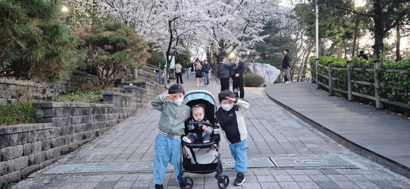 사진 6