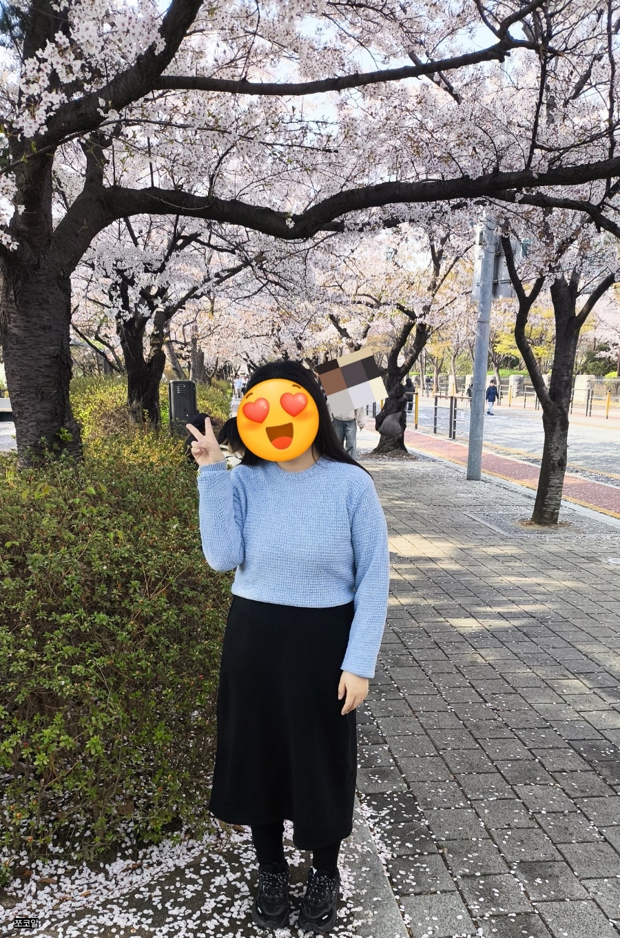 샹스 사진 4