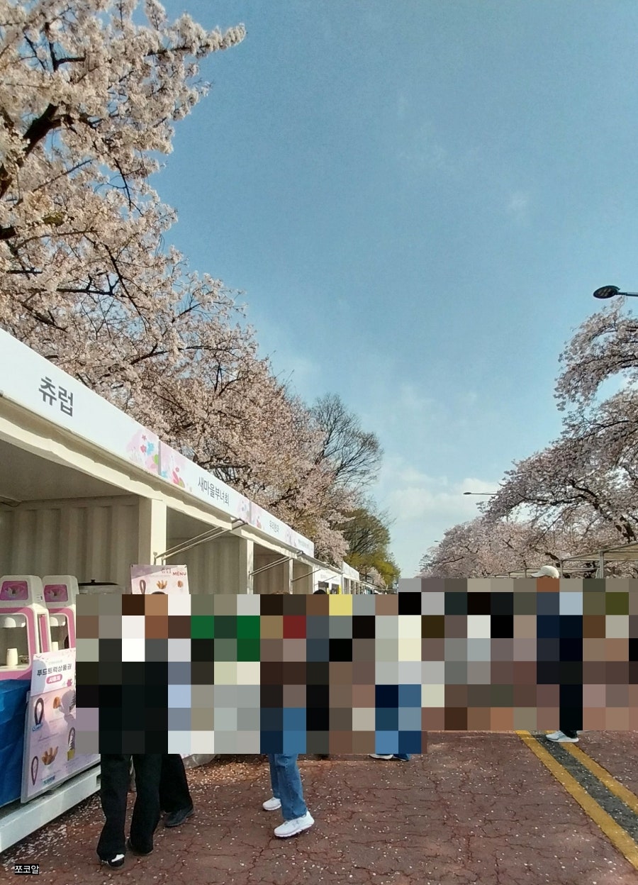 샹스 사진 5