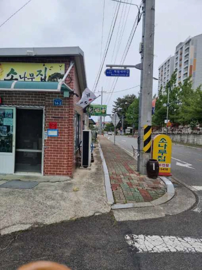 소나무집 사진 2
