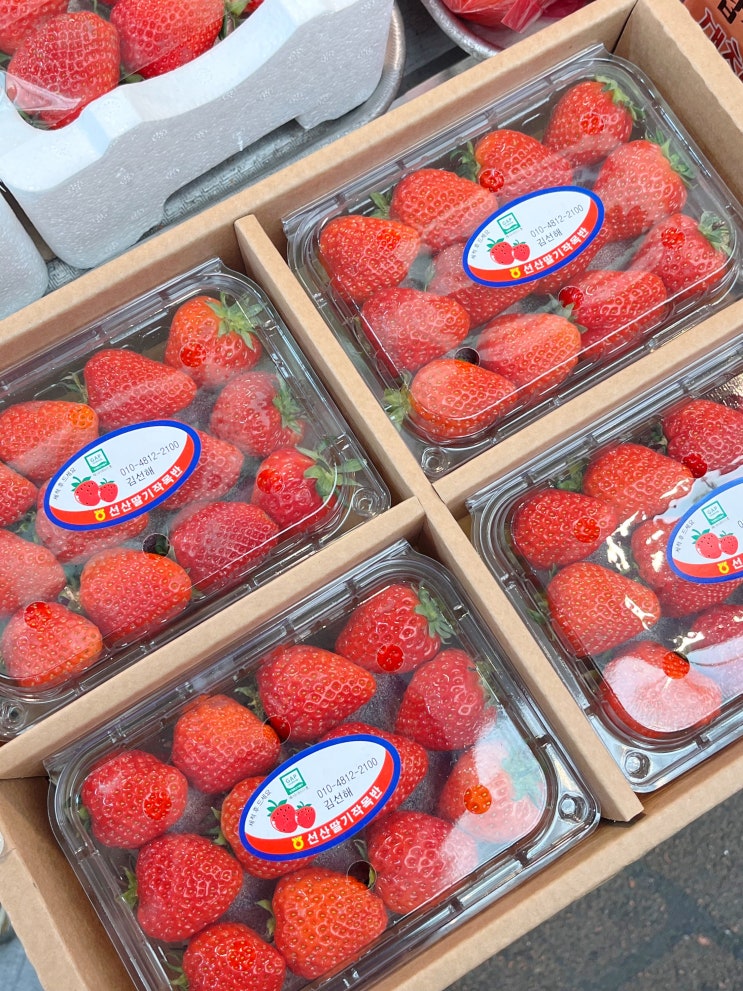  구미과일가게 새마을 중앙시장 맛집 신선하고 달달한 사계절청과 선물세트
