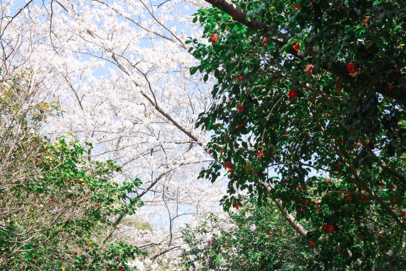 사진 8