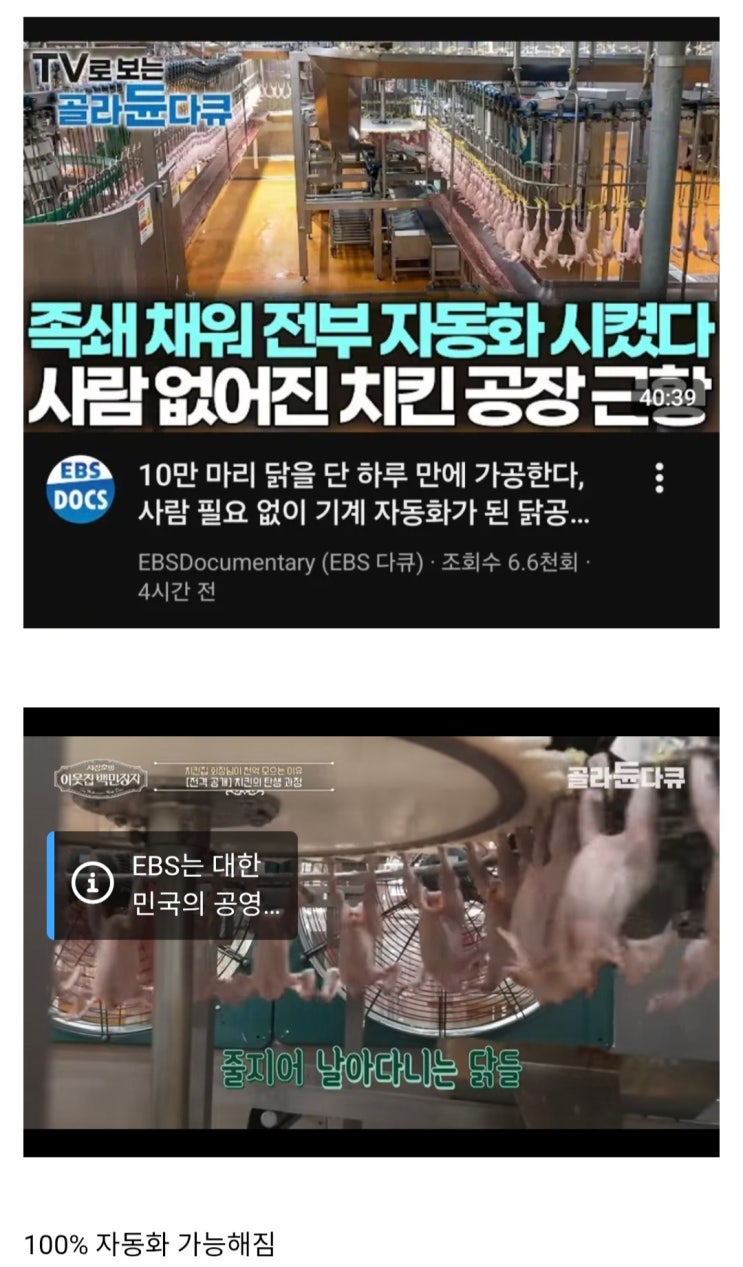  요즘 치킨 공장 근황.jpg