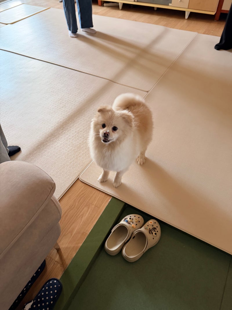 사진 6