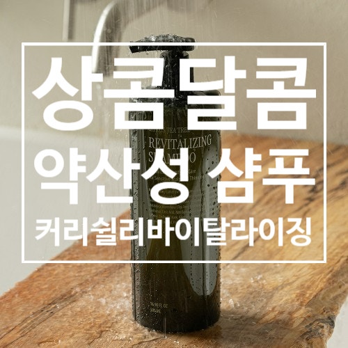 탈색모인데 부드러워짐 실화 커리쉴 리바이탈라이징 샴푸 리얼 후기
