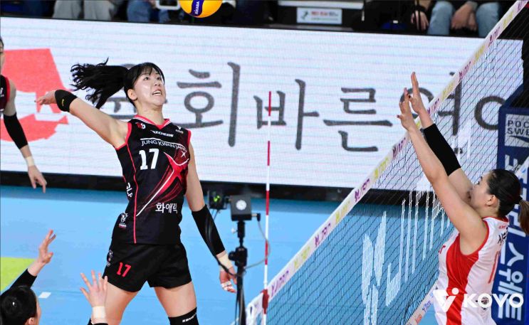  "돈으로는 못 잡는다"... 최대어 정호영 / 김다인 쟁탈전, 구단의 청사진이 승패 가른다