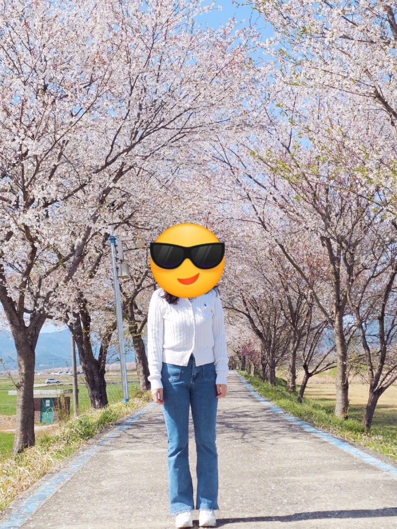 여성 간절기 가디건 추천, 폴로 랄프로렌 여성 케이블 니트 코튼 가디건 내돈내산 후기(WMPOSWE....