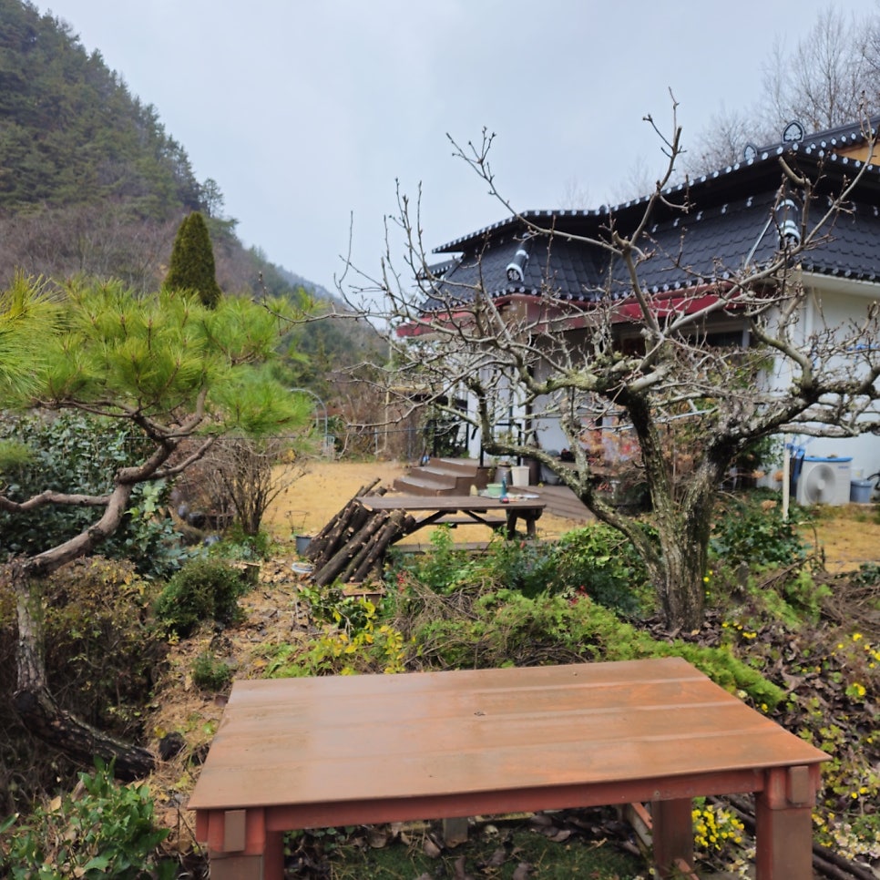 힐링하우스 사진 4
