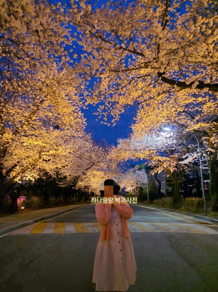  렛츠런파크서울 벚꽃축제 후기 말(馬)과 함께 즐기는 로맨틱 야간 데이트 (주차, 명소 총정리)