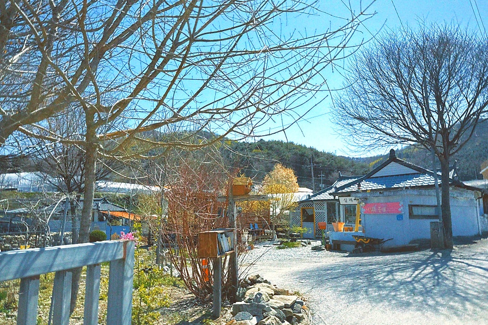 금병산약초 사진 3