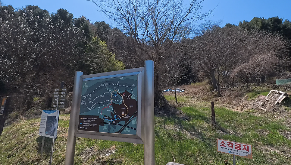금병산약초 사진 4