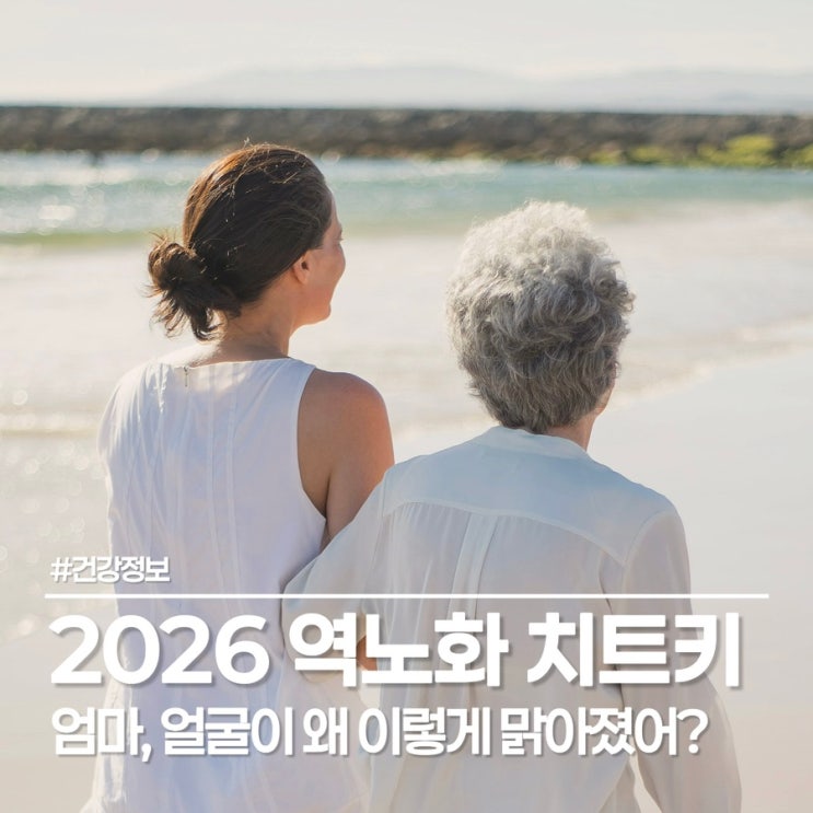  2026년 항노화의 정점, NMN 영양제 효능부터 50대 엄마 생신 선물 추천까지 완벽 가이드