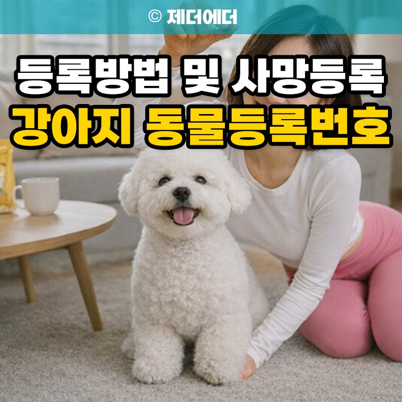 강아지 동물등록번호 조회 등록방법 및 사망등록 찾기