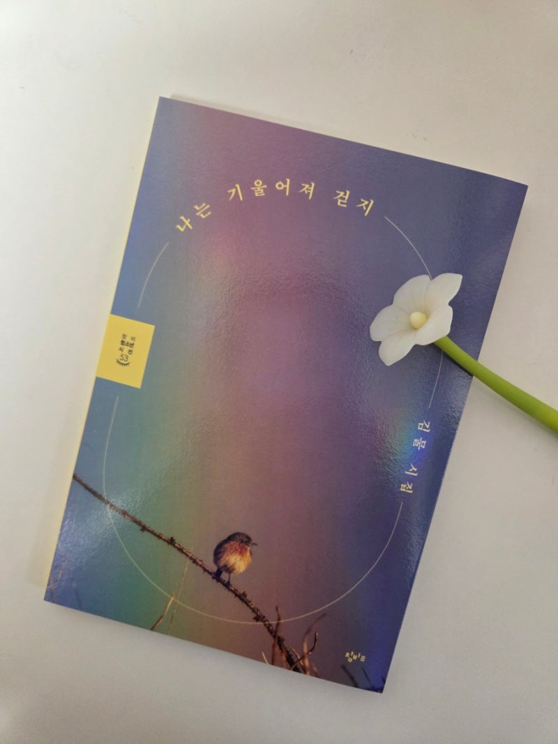 나는 기울어져 걷지, 김 물시집,창비청소년시선, 나에게로 가는 길, 청소년 시집 추천