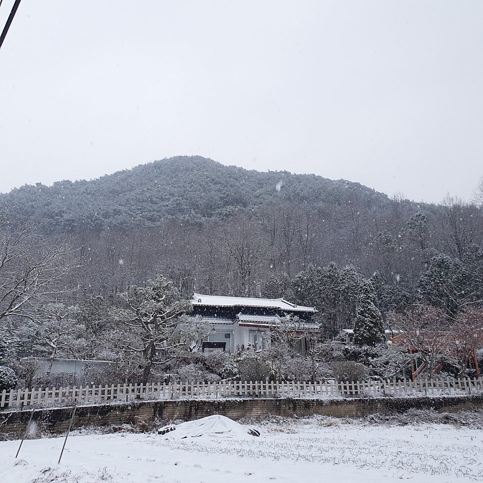 힐링하우스 사진 1