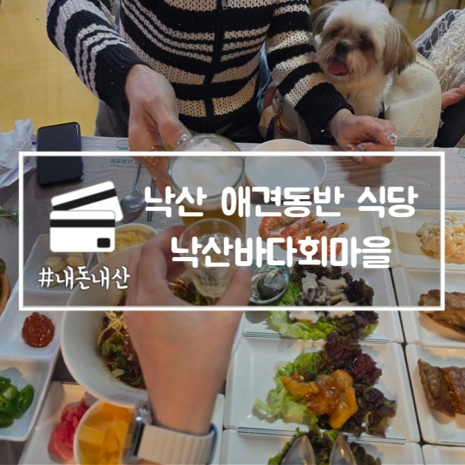 낙산해수욕장 애견동반 식당 낙산바다회마을 활어회 맛집