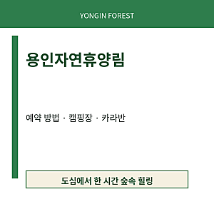 용인자연휴양림 예약 방법 캠핑장 카라반 숙소