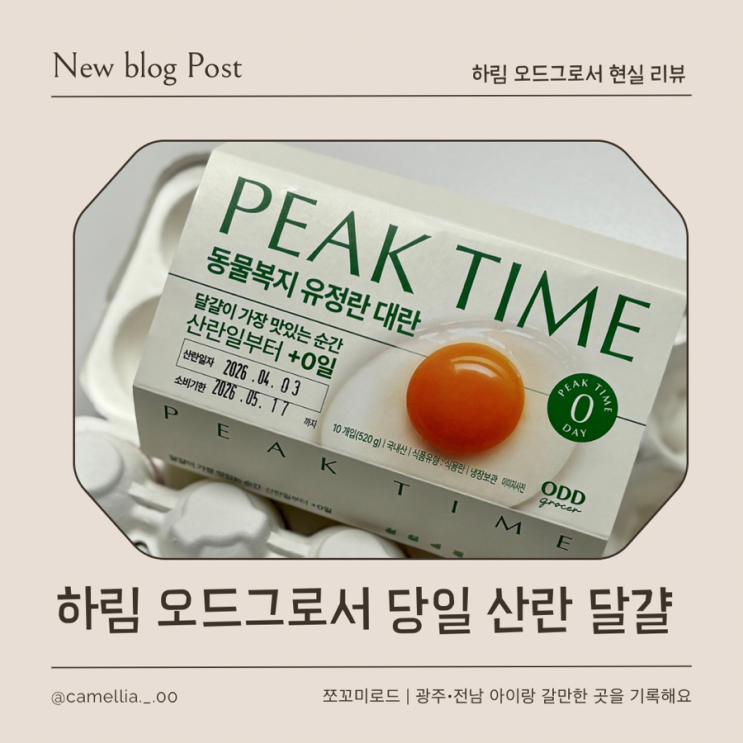  하림 오드그로서 당일 산란 달걀, 프렌치토스트로 즐긴 신선함 후기