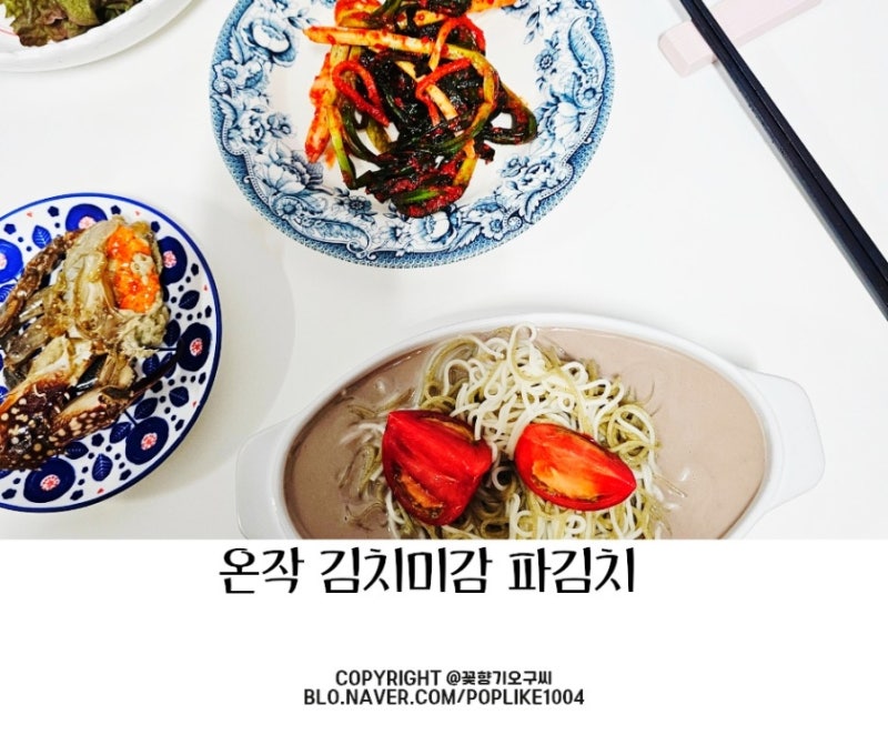 쪽파김치 꽃게액젓 만든 이영자파김치 추천 김치미감