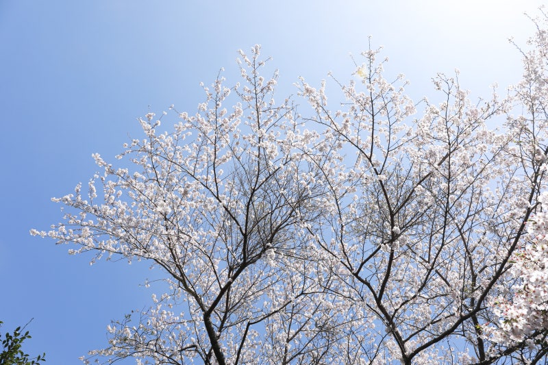 사진 9