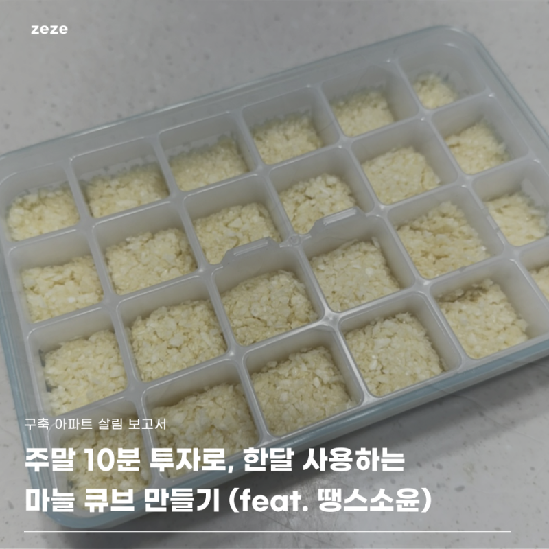 주말 10분 투자하세요 "한 달 쓰는 냉동 다진마늘 큐브" 이 순서면 실패 없어요