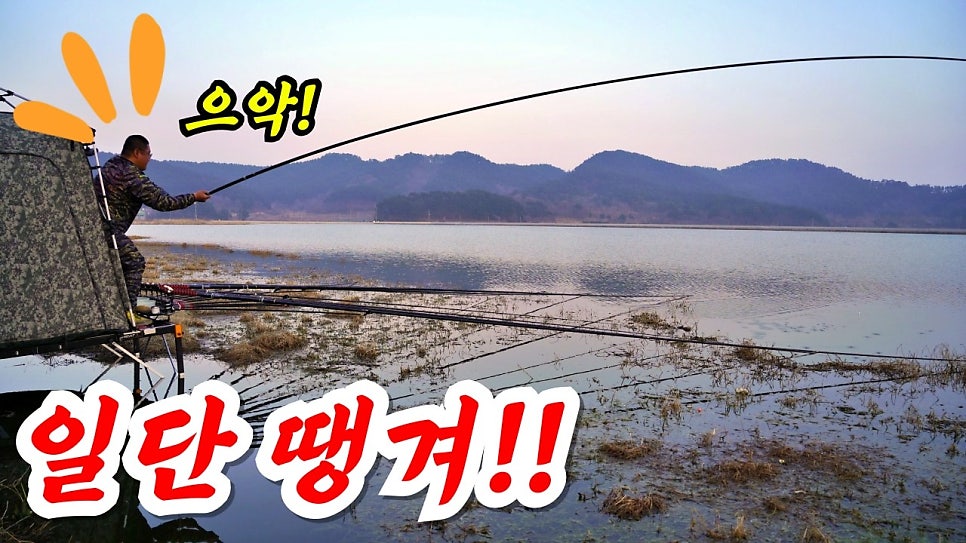 죽림지 사진