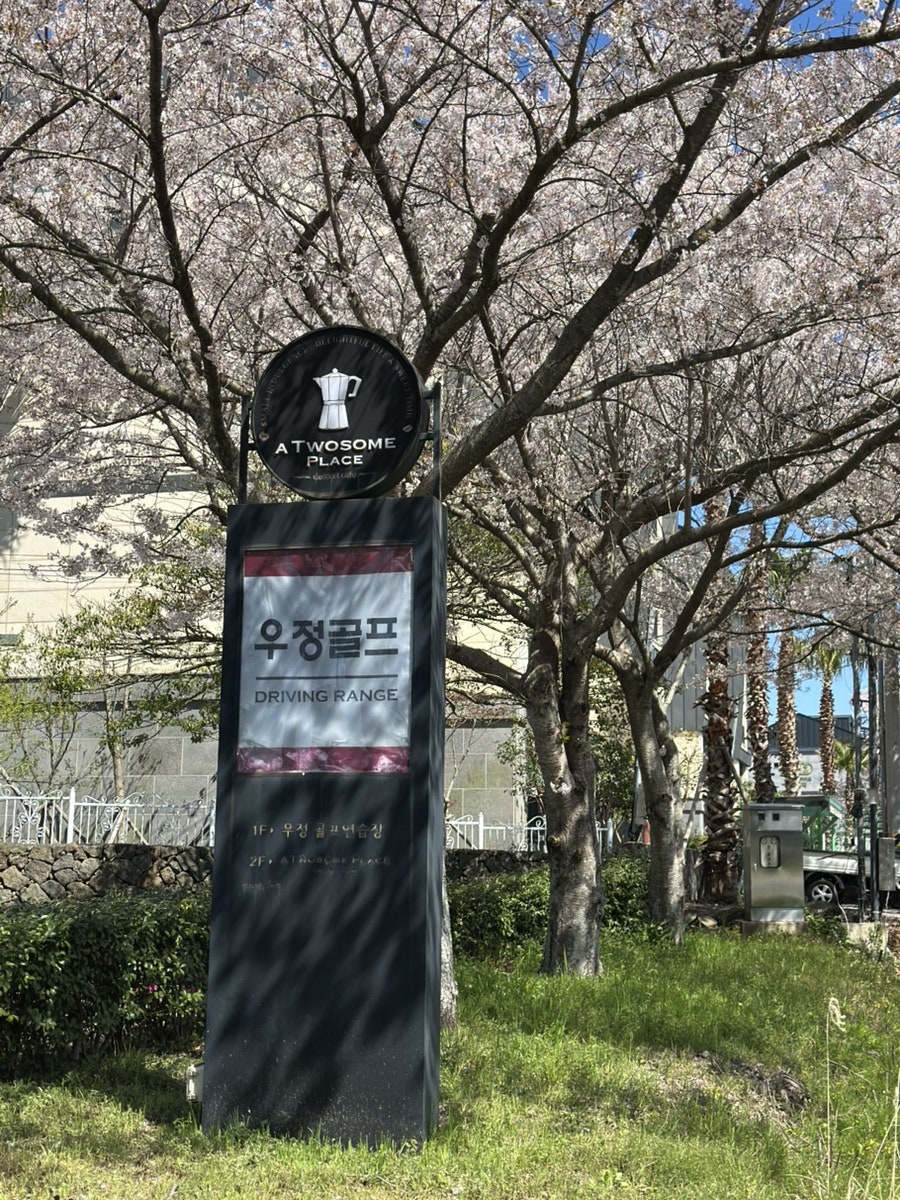 투썸플레이스 제주오라우정점 사진 5