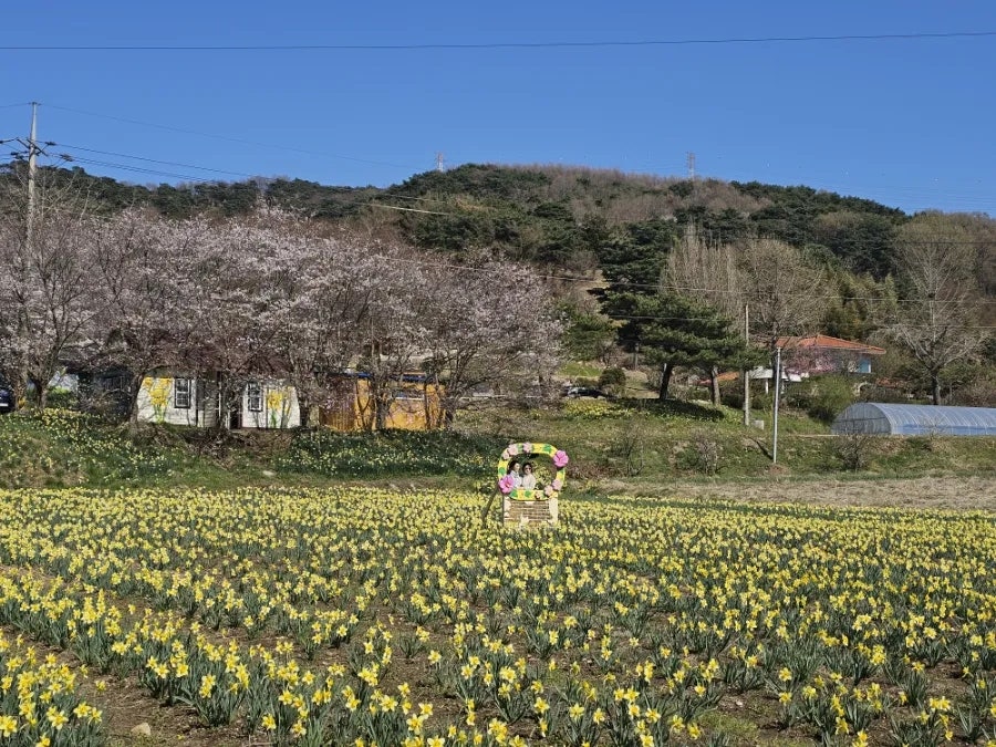 보개산 사진 5