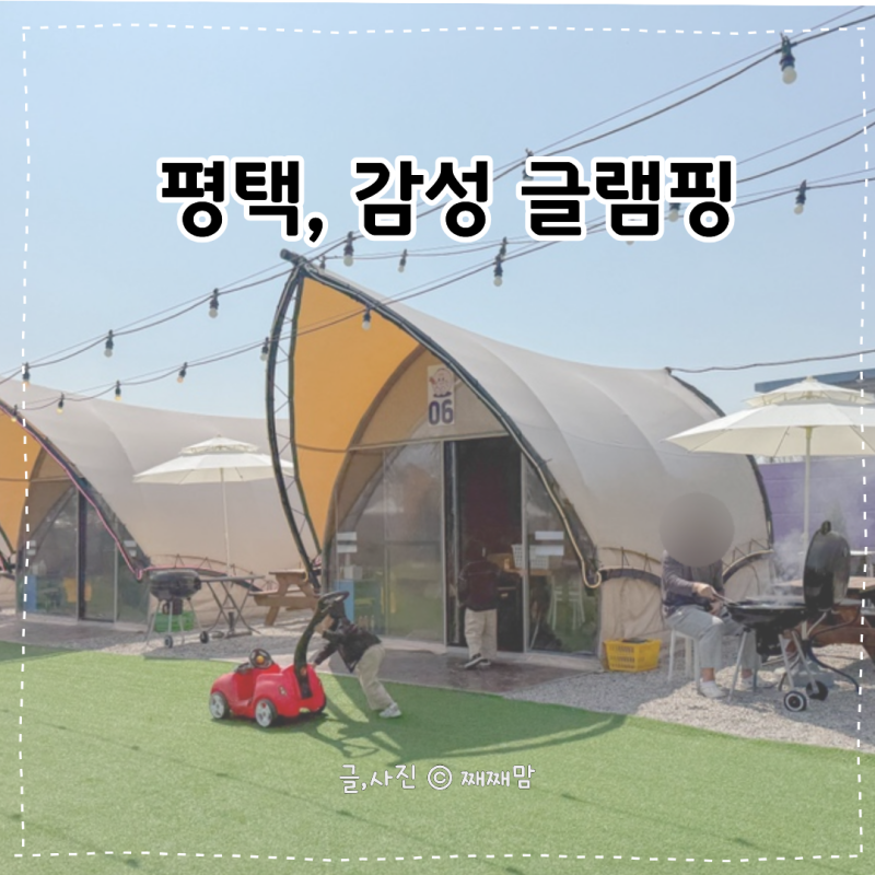 사진 5