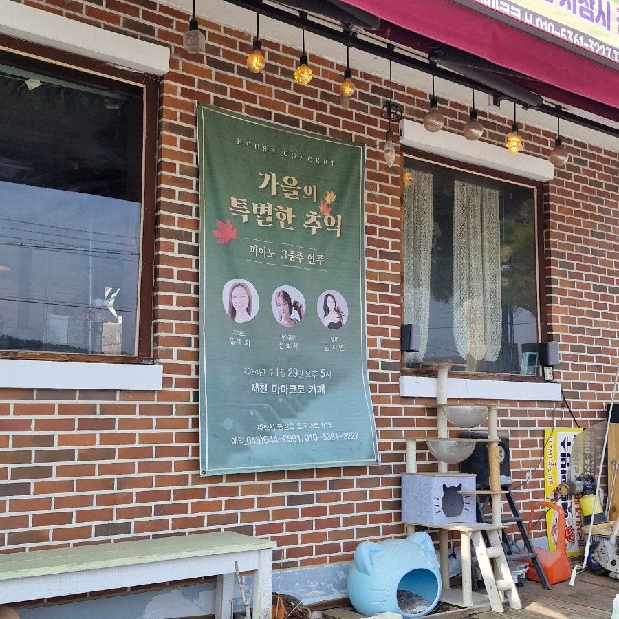 마마코코 사진 2