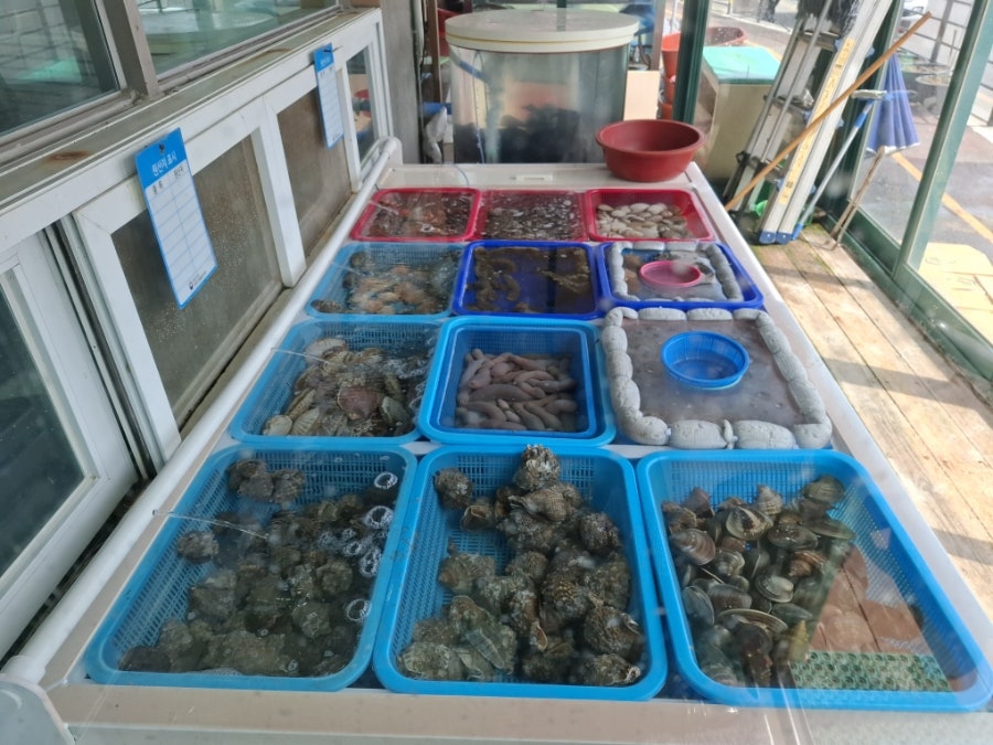 영란네 사진 6