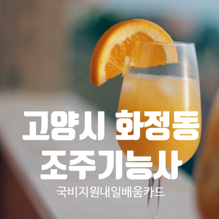  고양시 화정동 조주기능사 국비지원학원 내일배움카드_2026년 시험일정