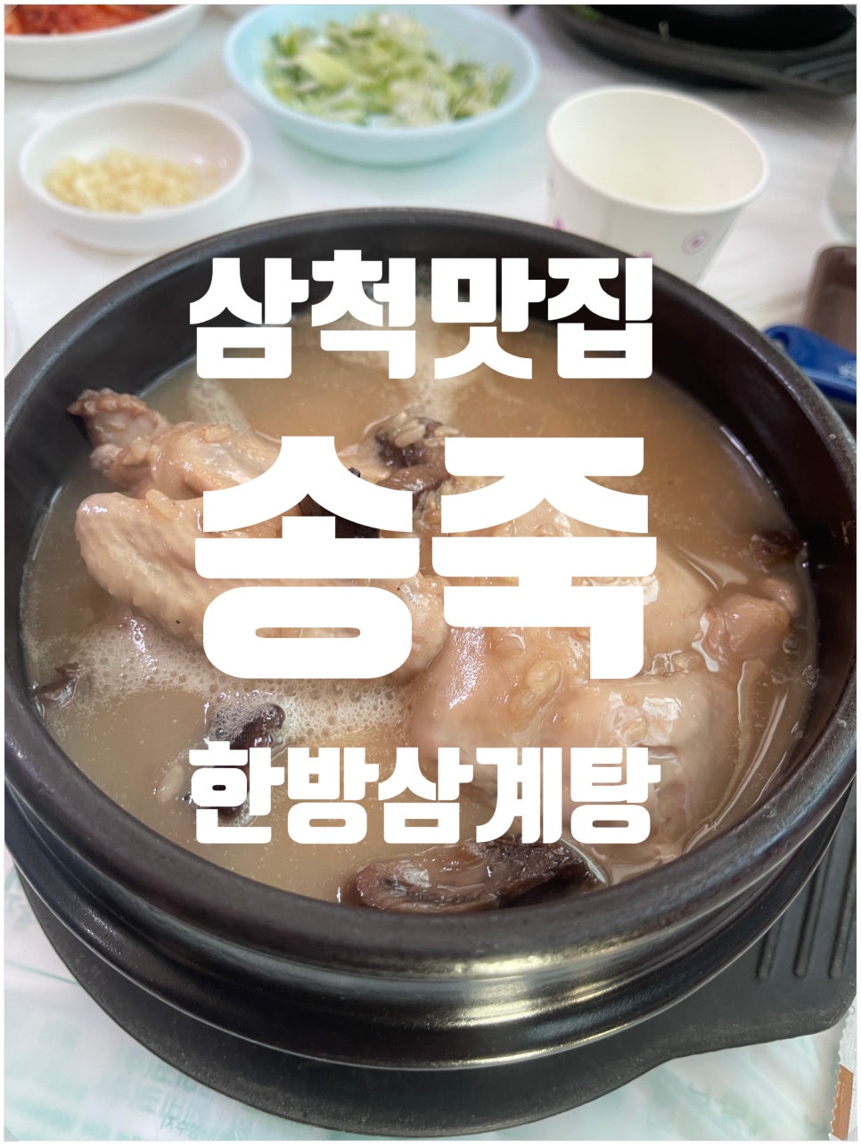 송죽 사진 1