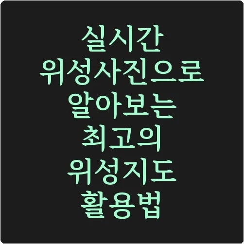 실시간 위성사진으로 알아보는 최고의 위성지도 활용법