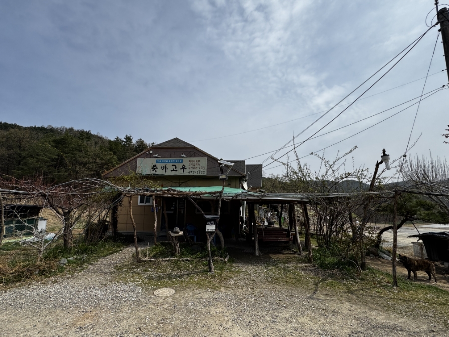 산동죽마고우 사진 1