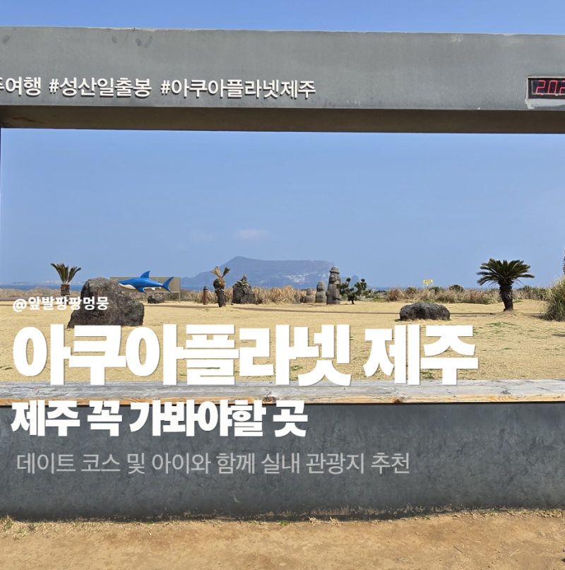 제주 실내 관광지 추천 아쿠아플라넷 2부 후기 | 인스타 포토존 + 푸드코트 맛집 정리 (아이와....