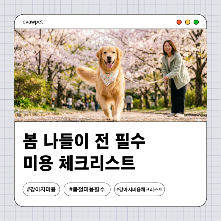  강아지 봄산책 봄나들이 미용체크리스트  | 진드기 예방까지 한 번에!