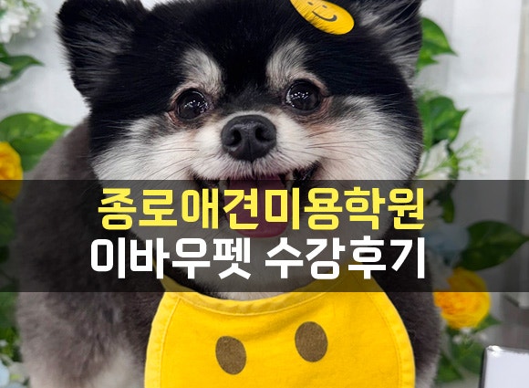 사진 2