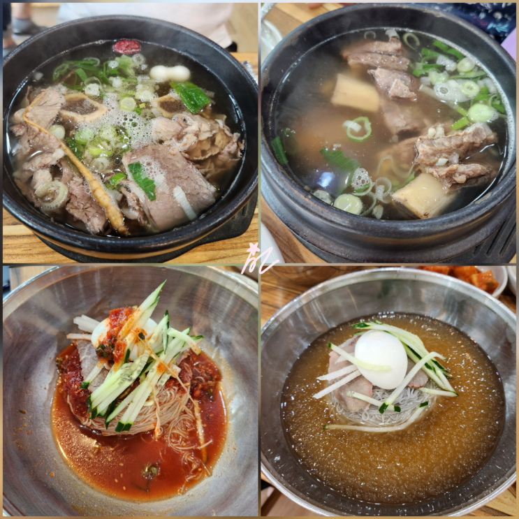  내돈내산 [가양] 이조면옥 - 함흥냉면이니까 비냉맛집