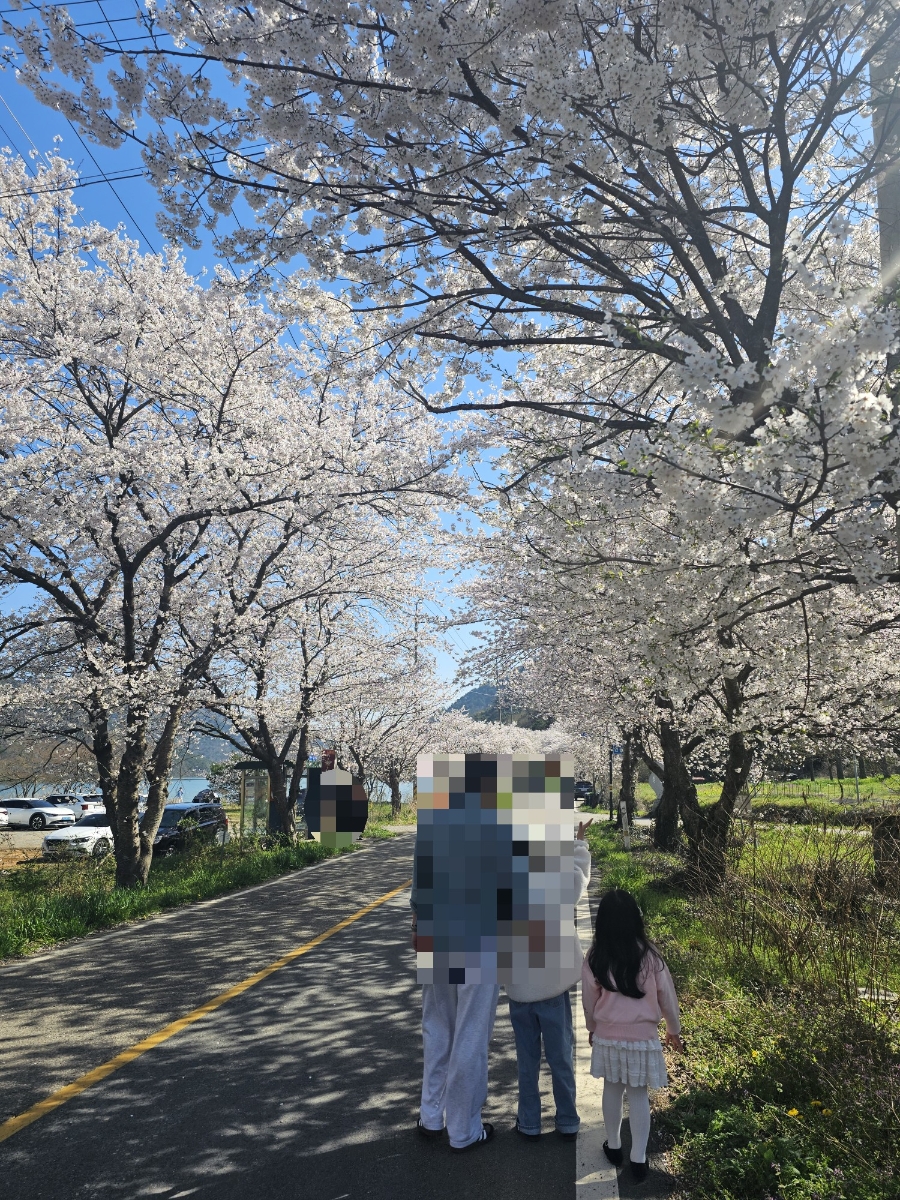 백룡제 사진 5