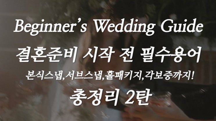  [웨딩가이드] 결혼준비 시작 전 필수용어 정리 2탄 (스냅종류, 홀패키지, 보증인원, 각보증까지! 총 정리)