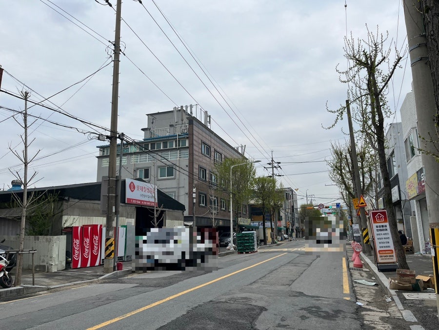 원티트립 사진 4