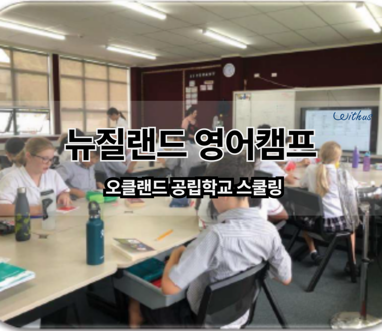  여름방학 뉴질랜드 영어 캠프 공립학교 스쿨링 비용