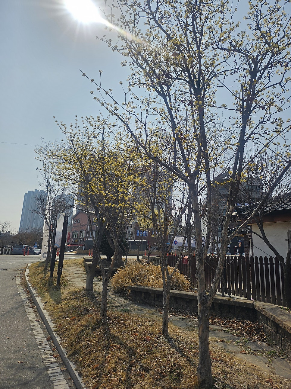 경서재 사진 3