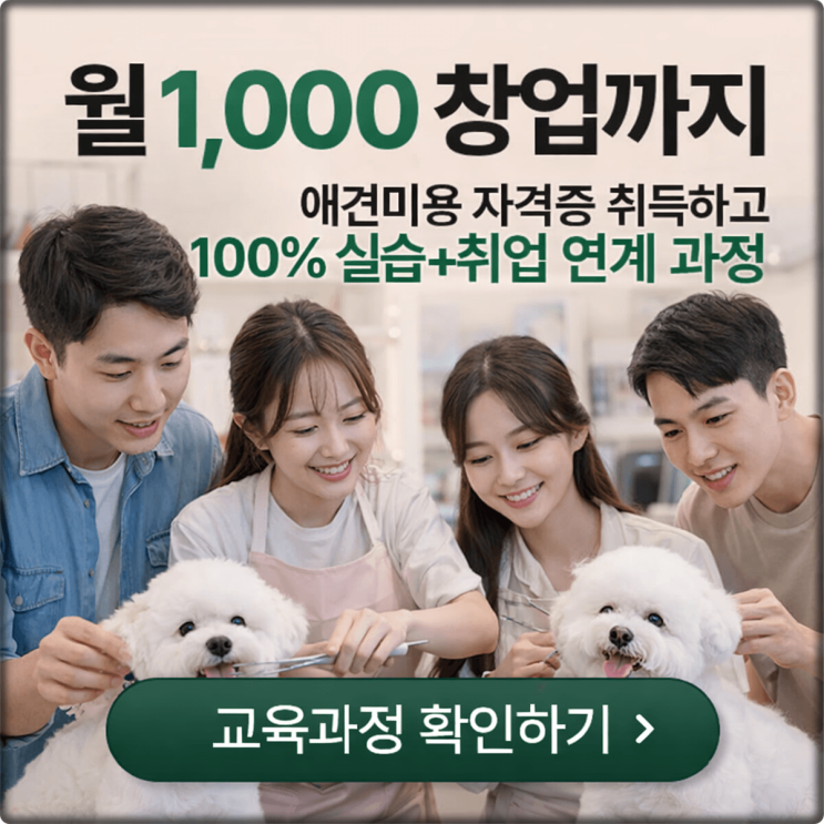  애견 미용 창업 교육 자격증+실무+창업까지 한 번에