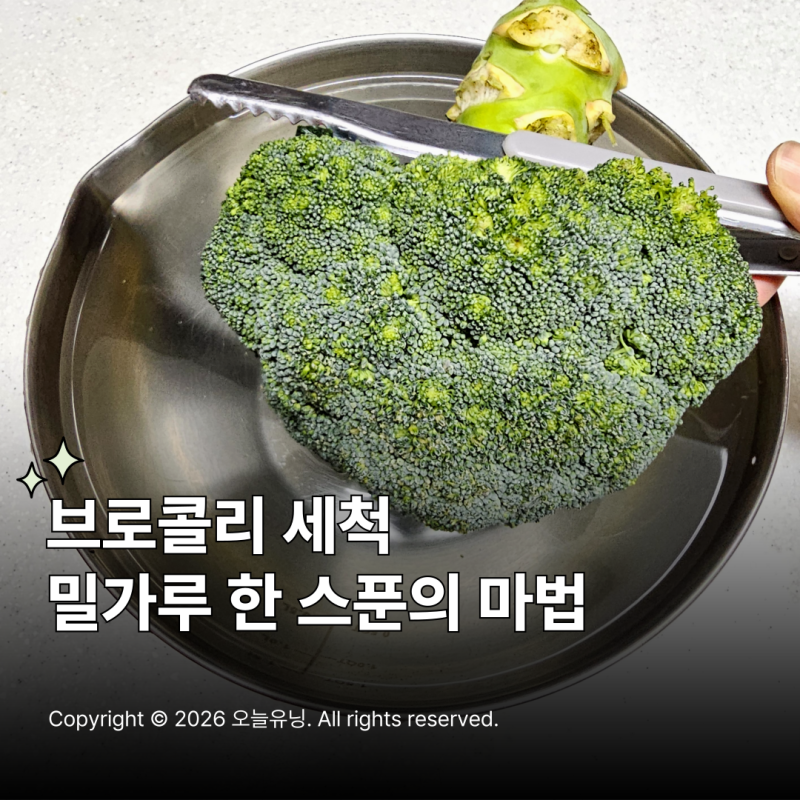 브로콜리 세척법 밀가루 하나로 이물질 제거하기