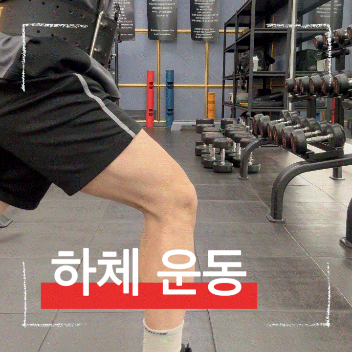  덤벨 런지 제대로 하는 법 하체라인 완성 루틴