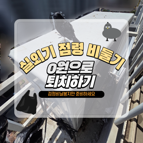 [생활꿀팁] "실외기 비둘기 어떻게 쫓나요?" 검정 비닐봉지로 2주째 퇴치 성공한 갓성비 방법