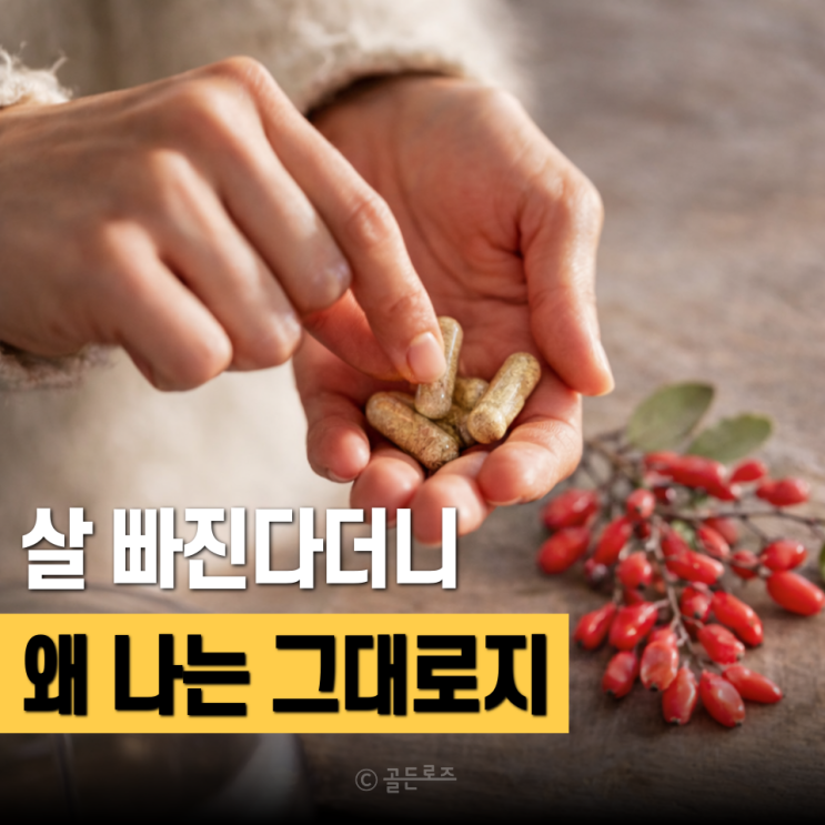  베르베린 효능 믿고 먹었는데... "살 빠진다"는 말 진짜일까?