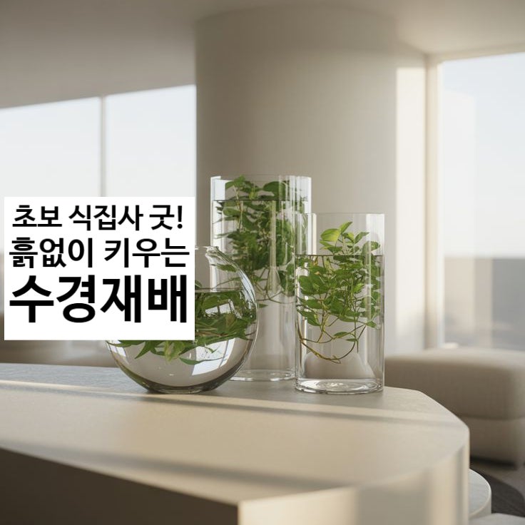플랜테리어 시작, 흙없이 깨끗한 수경재배 식물 추천